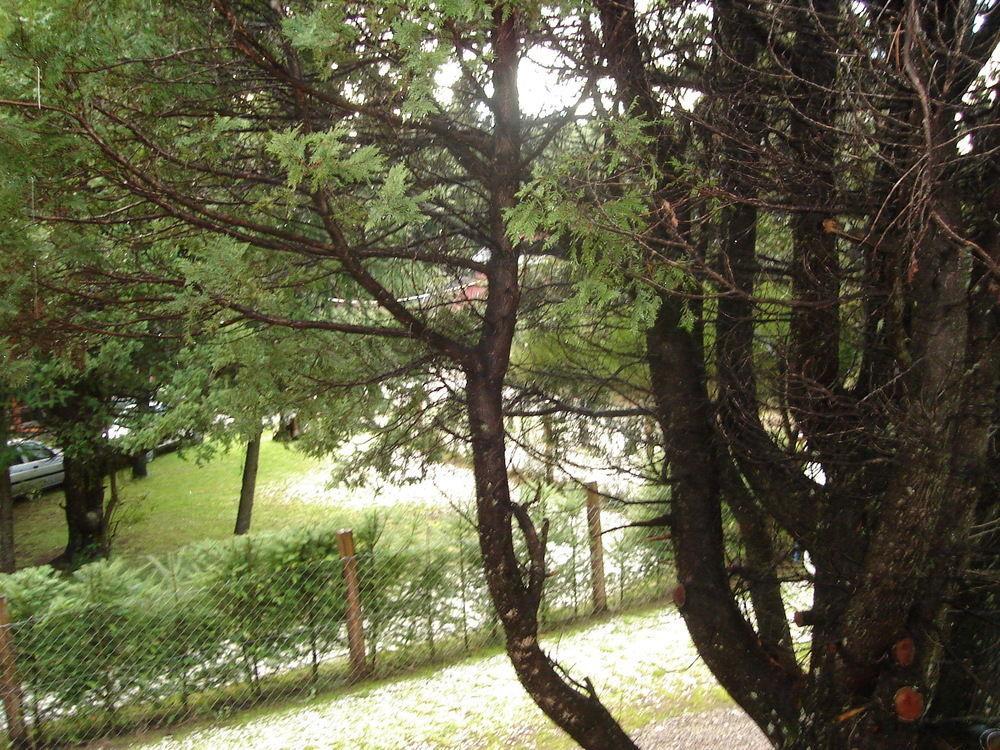 Tinsel'S House Villa San Carlos de Bariloche Exteriör bild